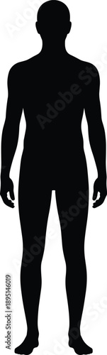 Black silhouette of male human body, anatomical figure, standing man front view, medical reference, muscular structure, full body outline