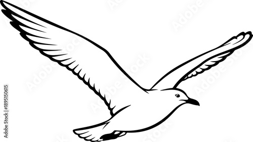 Flying Seagull silhouette vector illustration