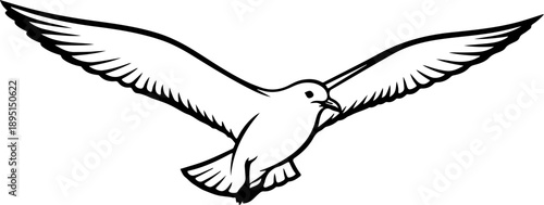 Flying Seagull silhouette vector illustration