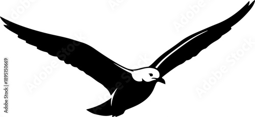 Flying Seagull silhouette vector illustration