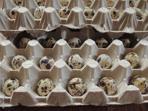 Small, light-colored, mottled eggs with dark spots on the shell in cardboard boxes with compartments for storage and transportation, packaging of hatching quail eggs for safety