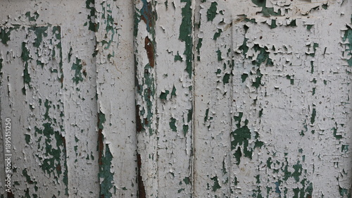 peeling white paint on a blue paint underlayer on an old wooden surface, textured vintage background with cracked paint