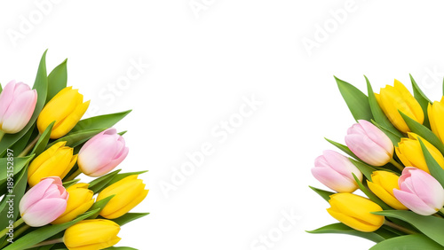 Beautiful arrangement of pink and yellow tulips framing an empty space floral border isolated on transparent background