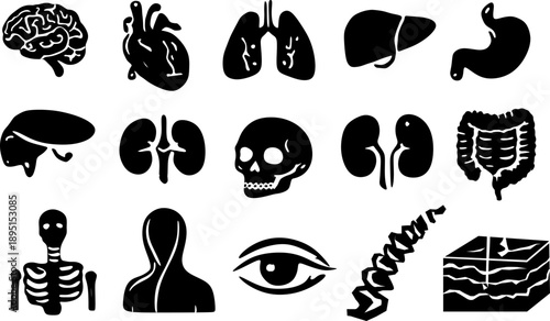 Set of anatomy human body icons in flat vector style for UI system, medical apps, education, healthcare, infographic, and interface design.