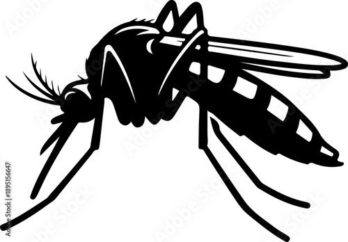 Mosquito silhouette vector illustration