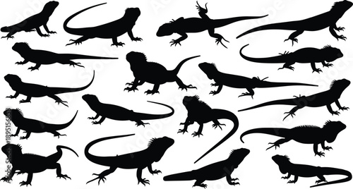 Black silhouettes of lizards and iguanas in various crawling poses, reptile animal collection isolated on white background illustration set