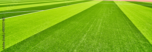 The grass of the football field