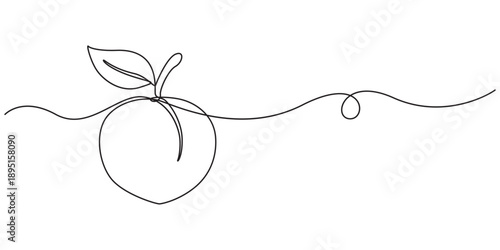 Peach fruit in continuous line art drawing style. Simple black sketch made of one line isolated on white background, Apricot vector illustration, pro