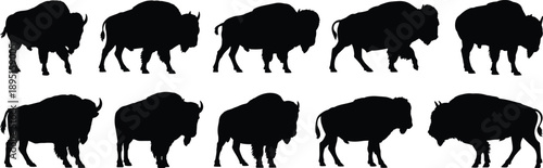 Large collection of black bison silhouettes in various standing and walking poses for wildlife conservation American prairie and nature graphic designLarge collection 