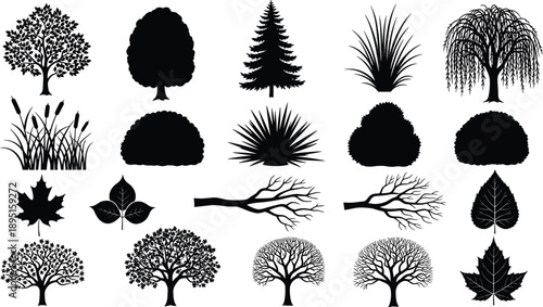 Black tree silhouette collection, forest botanical vector illustration set, nature elements with leaves and branches on white background, garden landscape clip art bundle