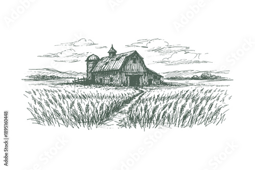 Detailed woodcut vector illustration of a classic farmhouse and barn in a vast wheat field, vintage etching style rural countryside landscape.