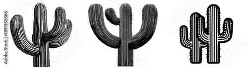 Silhouetted Saguaro Cacti: A Desert Icon