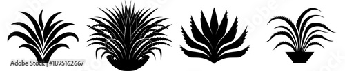 Elegant Black and White Plant Iconography