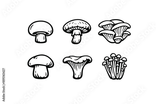 Mushroom icon set. Containing fungi, spores, edible, toxic, habitat, nature, organic, forest, agriculture, biodiversity and more.
