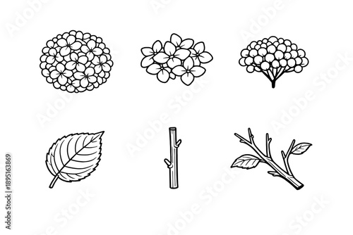 Nature and Plants Icon Set. Containing flower, leaf, shrub, branch, tree, bud, bloom, seed and more.