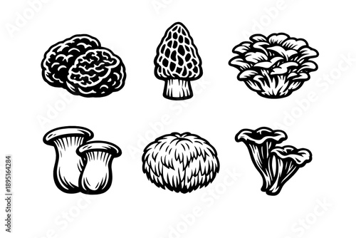 Mushroom icon set. Containing fungi, spores, cultivation, edible, poisonous, organic, wild, nature, habitat, biodiversity, agriculture, nutrition,