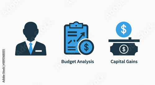 Icons for Budget Analysis, Capital Gains, and a professional figure, illustrating financial management and investment concepts