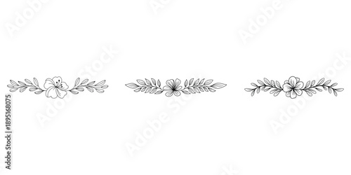 Botanical hand drawn floral divider collection featuring leaf branches and delicate flower heads for wedding stationery and greeting card design element