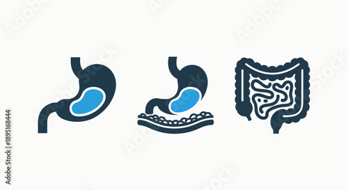 Digestive System Icons: Stomach, Digestion Process, and Intestines
