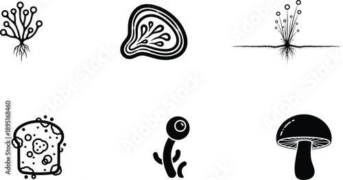 A collection of six different types of simple fungal and lichen illustrations