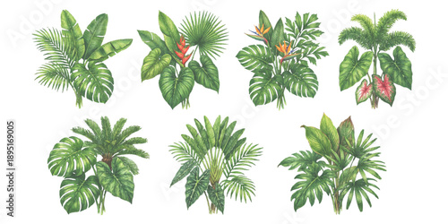 Watercolor collection of tropical plants and exotic leaves illustration set