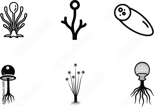 six alien plants on white background
