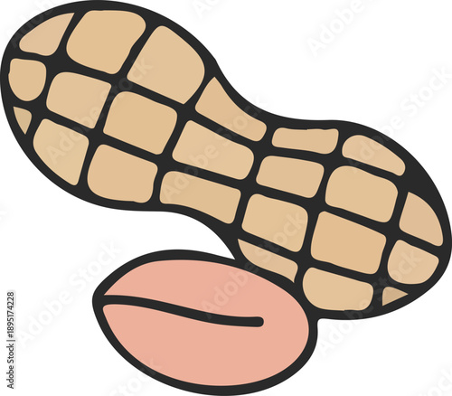 Peanut shell and kernel