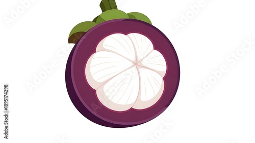 Colorful mangosteen fruit illustration with white background.