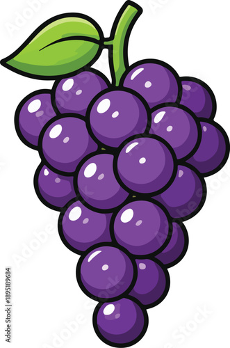 Vector illustration of grapes design icon