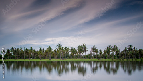 View of still waters mirroring the vibrant green coconut trees under a vast, streaked sky, a tranquil scene of nature's artistry, Mangrove Forest Park, Petchaburi, Thailand.