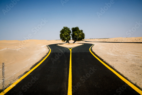 View of a freshly paved black road splitting around two green trees in the vast desert under a clear blue sky, Dubai, United Arab Emirates.