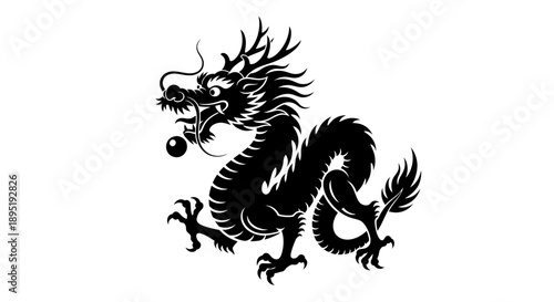 Black and White Dragon Illustration Artwork.