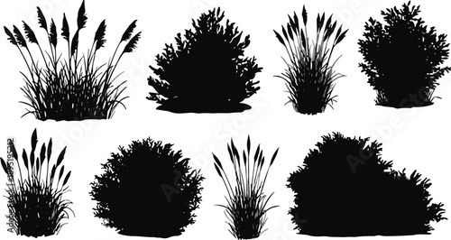 Flat vector silhouettes of bushes and tall grasses, black plant icons, nature foliage design, landscaping elements, botanical illustration, garden vegetation