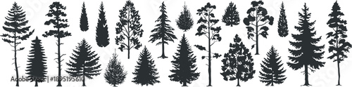 Flat vector silhouettes of diverse tree types, coniferous and deciduous species, black icons, nature design, forest elements, botanical illustration