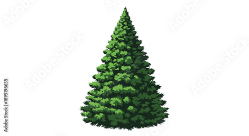 Detailed illustration of a vibrant green evergreen conifer tree with a conical shape on a clean white background.