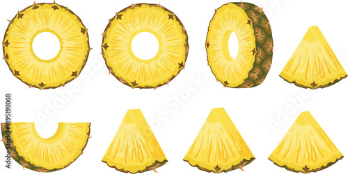 Fresh Pineapple Slices Collection with Rings and Wedges Flat Vector Illustration Set