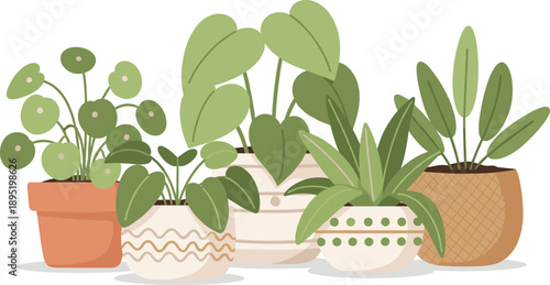 Indoor Potted Houseplants Collection with Decorative Ceramic Pots Flat Vector Illustration Set
