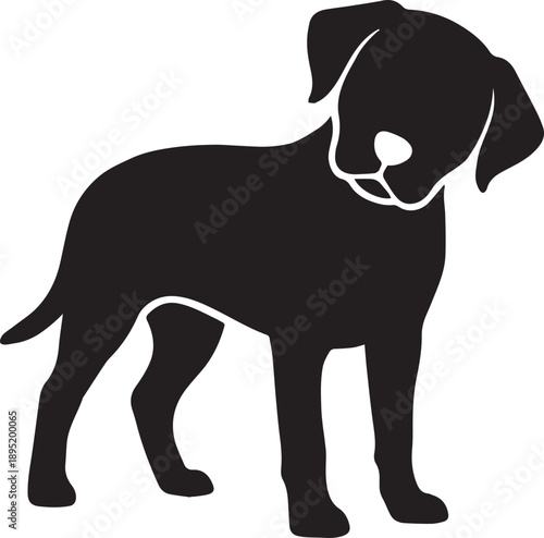 Curious dog standing, head tilted