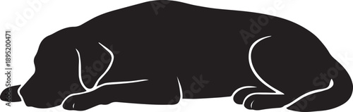 Confident dog standing proudly