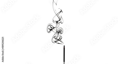 Decorative Black Swirl Wire Sculpture on Stick.