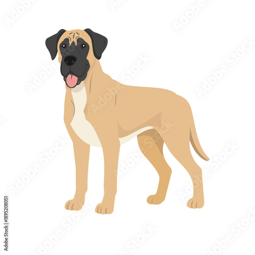 Cartoon vector illustration of a Great Dane dog standing, isolated on white background.