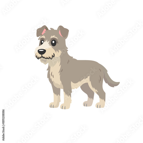 Vector illustration of an Irish Wolfhound dog standing, isolated on white background.