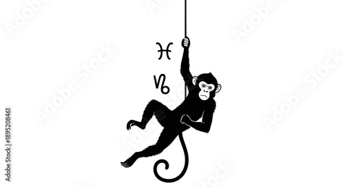 Monkey Climbing Rope with Astrological Symbol.