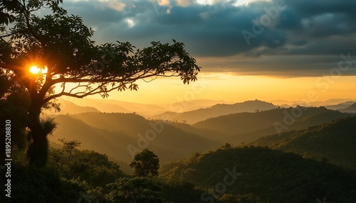 Tranquil golden glow over jungle hills