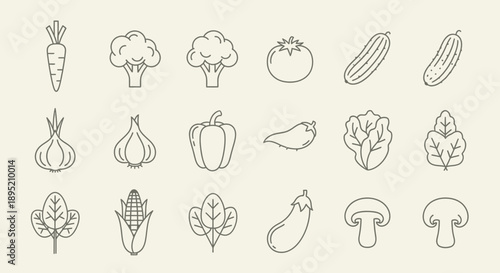 Collection of Hand Drawn Vegetable Illustrations.