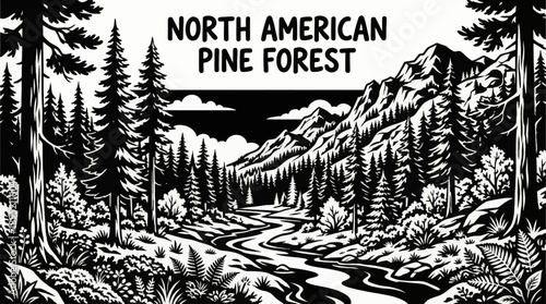 North American pine forest landscapes featuring conifer trees, shrubs, forest floor plants, and mountain black and white vector illustration vegetation ecosystems