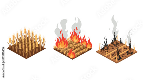 Isometric stages of agriculture: wheat growth, fire, and aftermath