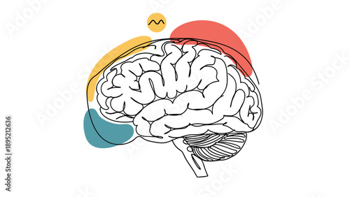 Detailed line art drawing of a human brain with abstract teal orange and red color splashes representing cognitive functions and mental energy.