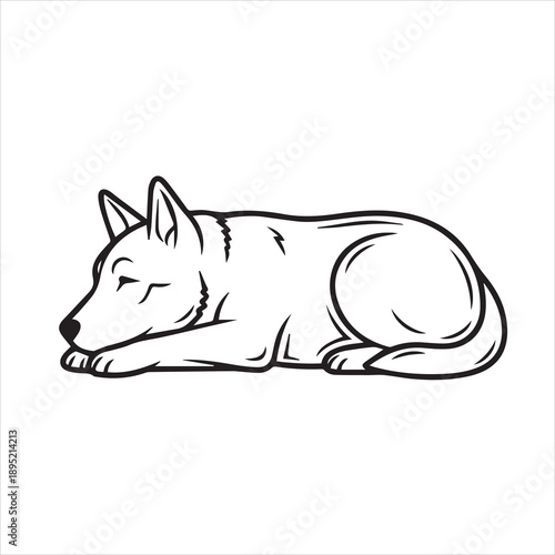 vector illustration of dog