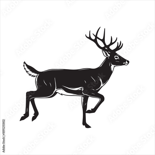 deer vector illustration